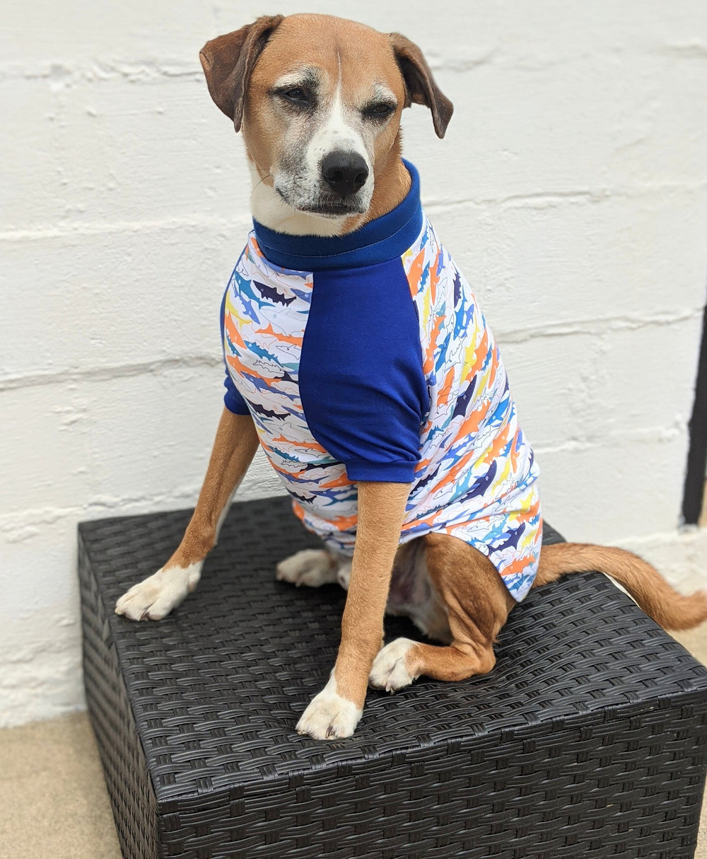 Jax & Molly's Shark Raglan Dog Pajamas