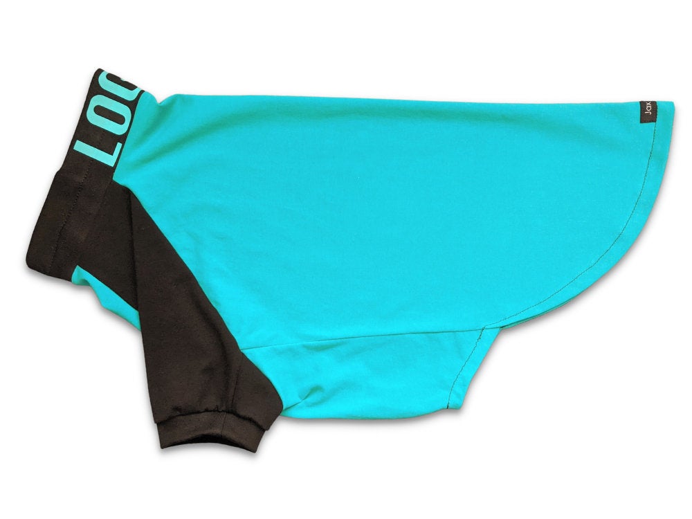 Jax & Molly's Raglan Dog Pajamas