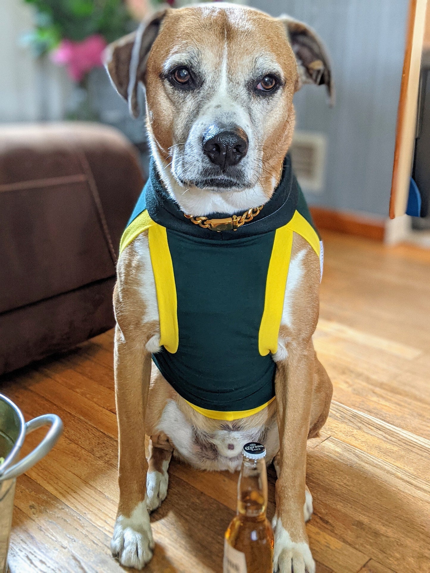 Dog Sports Jersey - Green Body, White Mesh Sides, Yellow & Green Trim