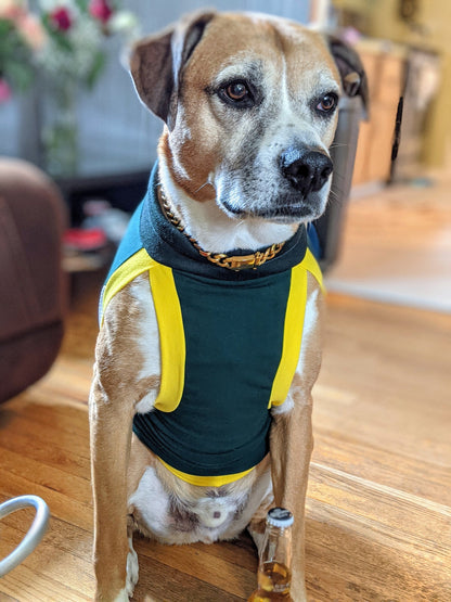 Dog Sports Jersey - Green Body, White Mesh Sides, Yellow & Green Trim