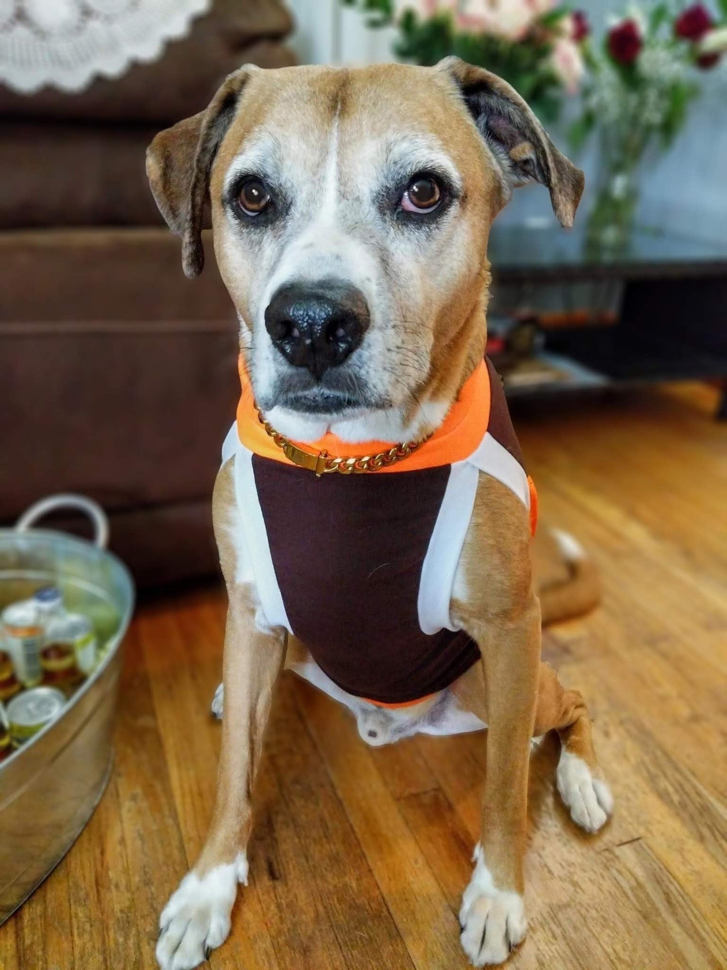Dog Sport Jersey - Brown Body, Orange Mesh Sides, Orange & White Trim