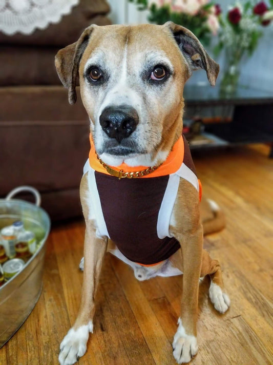 Dog Sport Jersey - Brown Body, Orange Mesh Sides, Orange & White Trim