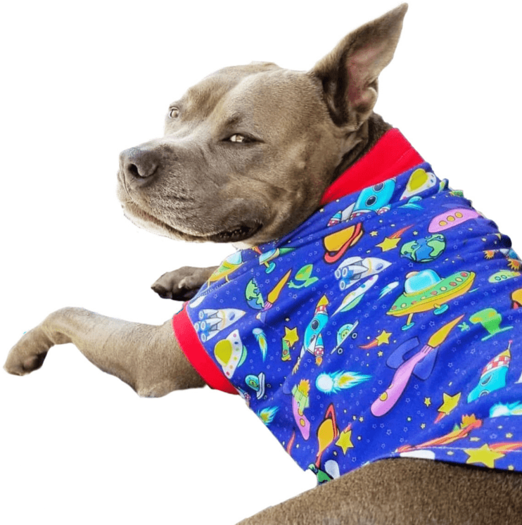 Jax & Molly's Alien Dog Pajamas